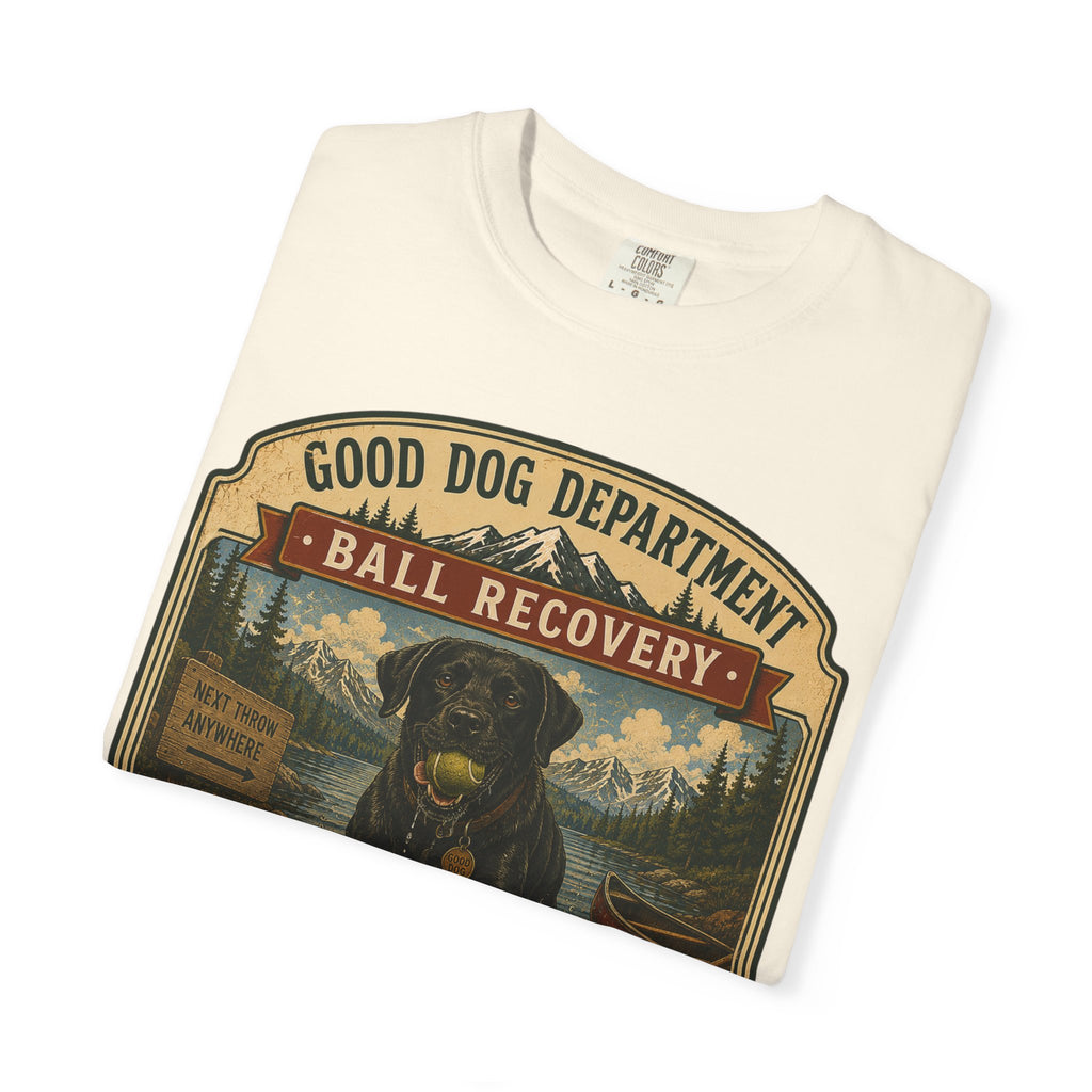 Labrador Retriever – "Ball Recovery"